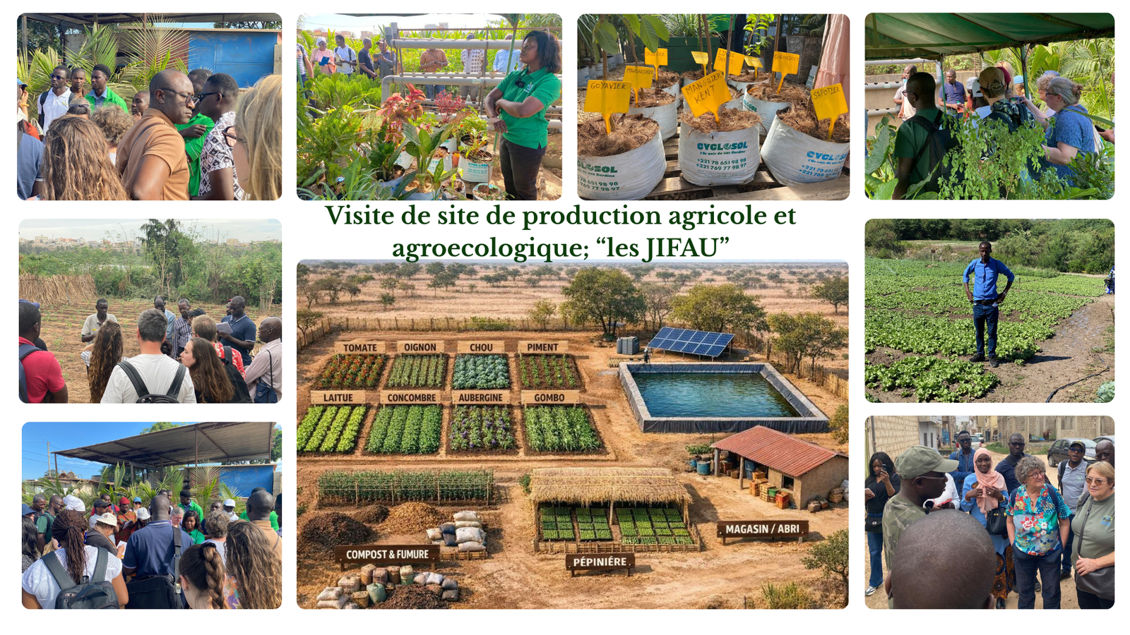 Mécanisme d’appui & outils